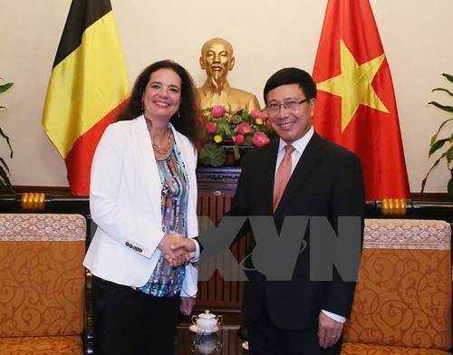 Deputy PM receives visiting Foreign Minister of Iceland, President of Belgian Senate - ảnh 2